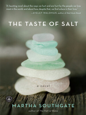 The Taste of Salt - ebook